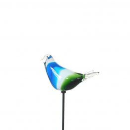 Vogel blau weiß grün