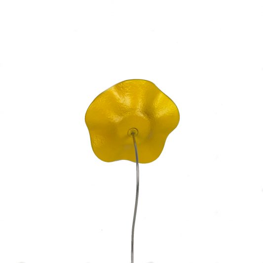 Blume von hinten gelb