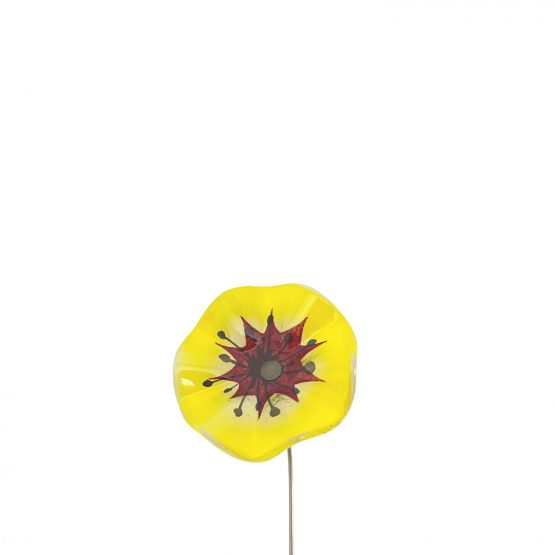 Blume klein gelb-rot