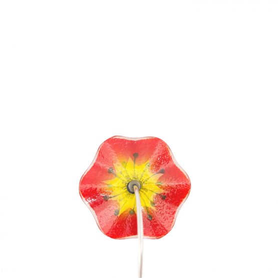 Blume Rot-gelb Rückseite