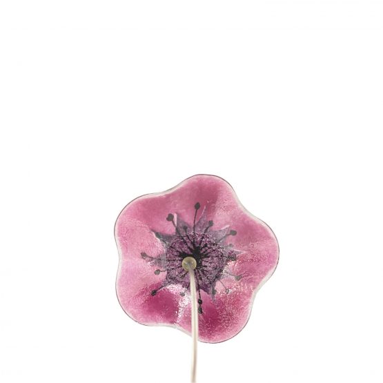 Blume Rückseite lila