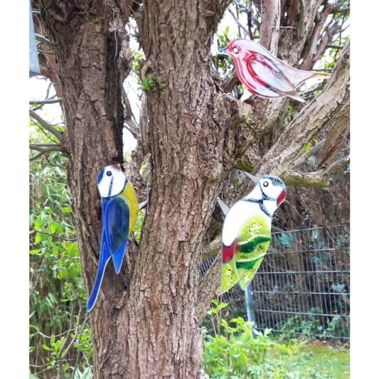 verschieden Vögel auf Baum